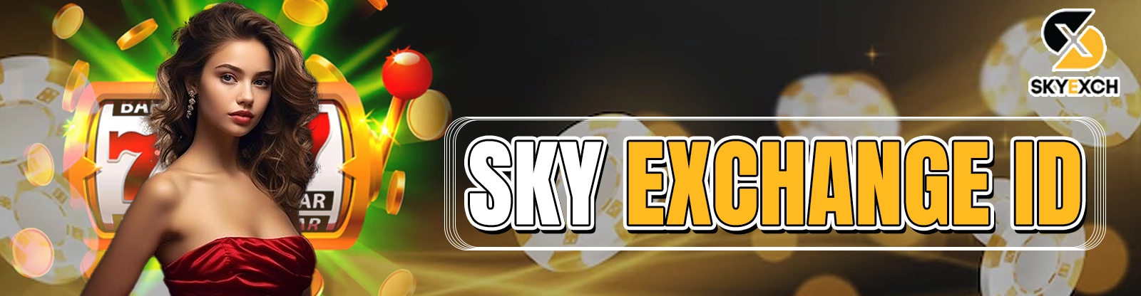 sky exchange
